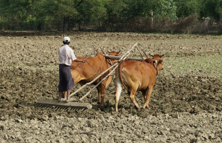 Ploughing the fields with flip-flops