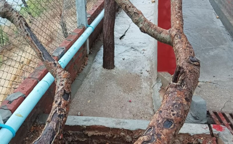 Fundament